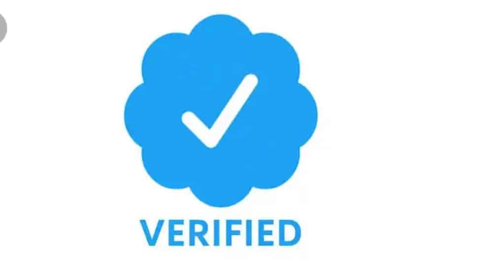 How Long Does Twitter Blue Verification Take?